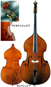 CONTRABASS